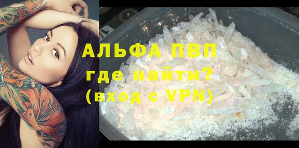 СК Балахна