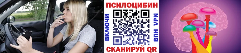 Псилоцибиновые грибы GOLDEN TEACHER  Солигалич 